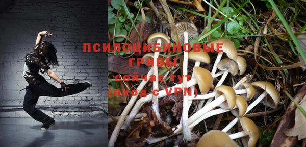 марки nbome Гусь-Хрустальный
