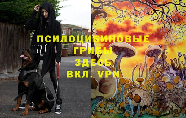 гашиш Гусев