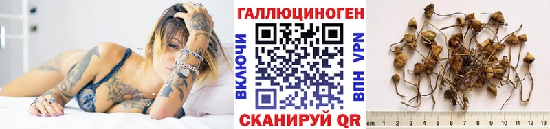 Псилоцибиновые грибы мухоморы  Купить закладки  Котельнич 